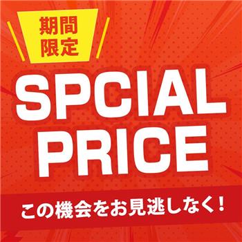 SPECIAL PRICE