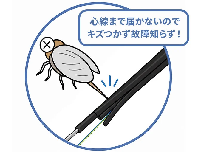 セミ対策実施済