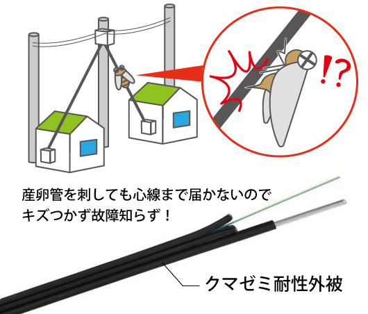 セミ対策実施済みの光ドロップケーブル